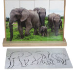 Olifant
