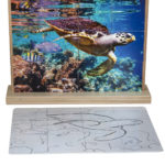 Zeeschildpad