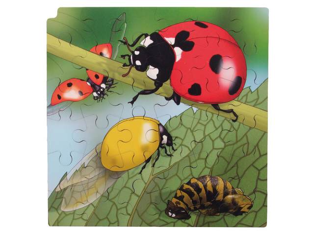 Groeipuzzel Lieveheersbeestje + gratis APP - Afbeelding 2