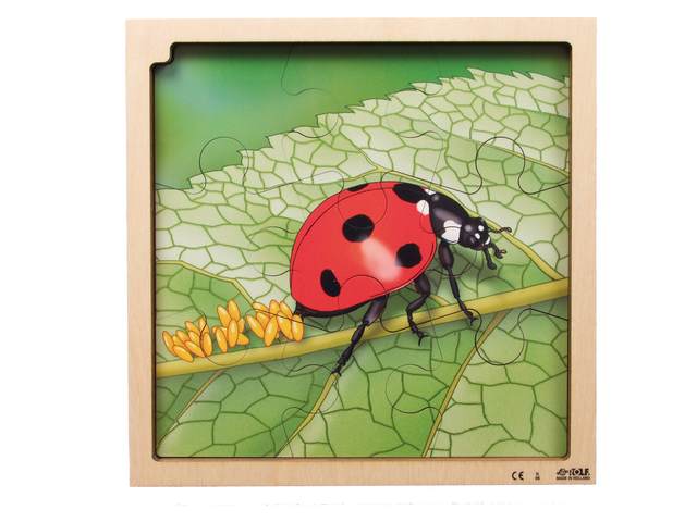 Groeipuzzel Lieveheersbeestje + gratis APP