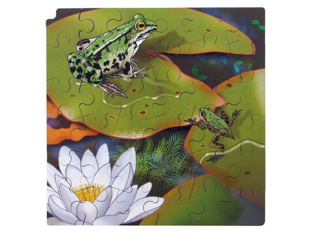 Groeipuzzel Kikker + gratis APP - Afbeelding 5