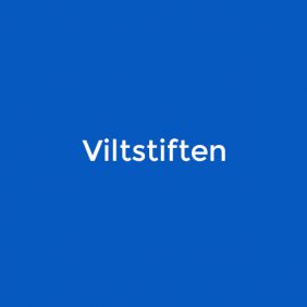 Viltstiften
