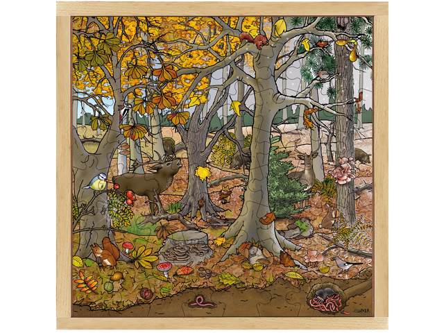Bospuzzel herfst