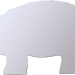Schaap