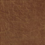 yacht Camel 09