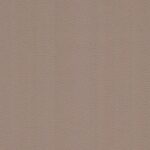 Taupe 02