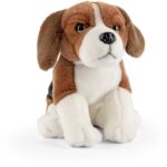 Hond