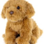 Bruine hond