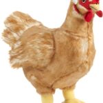 Hen
