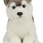 Husky