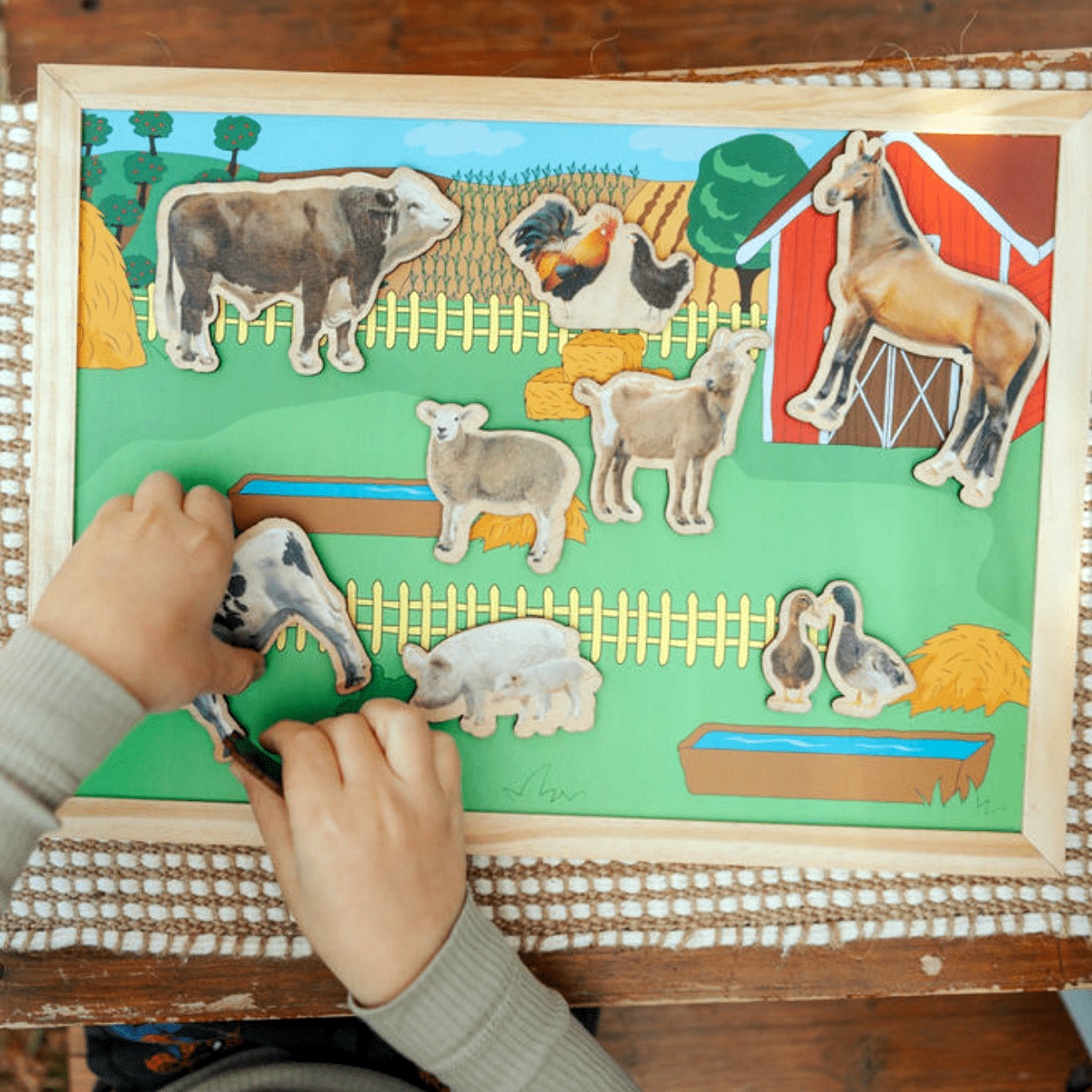 Wilde dieren en hun leefgebieden | 5 stuks - Afbeelding 4
