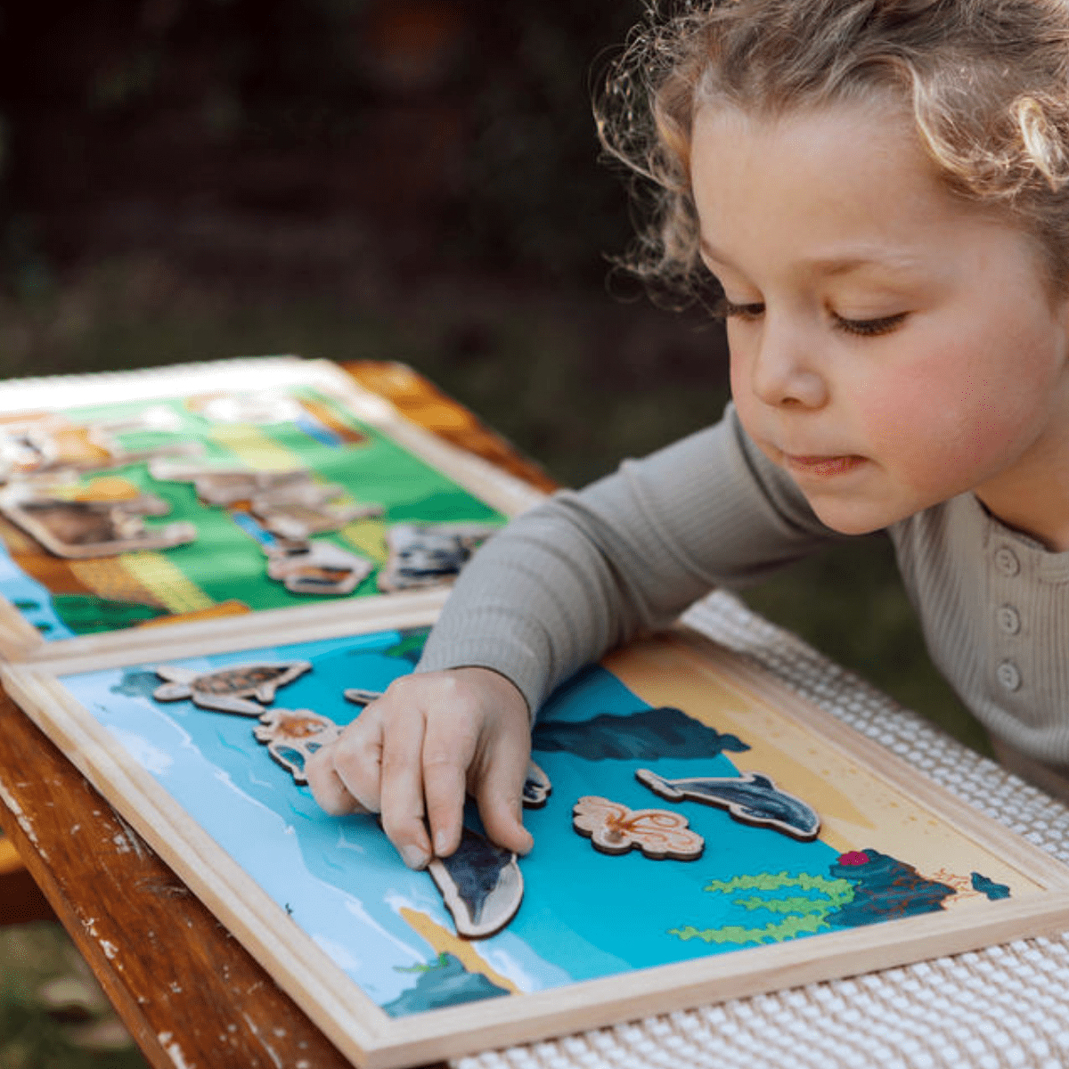 Wilde dieren en hun leefgebieden | 5 stuks - Afbeelding 5