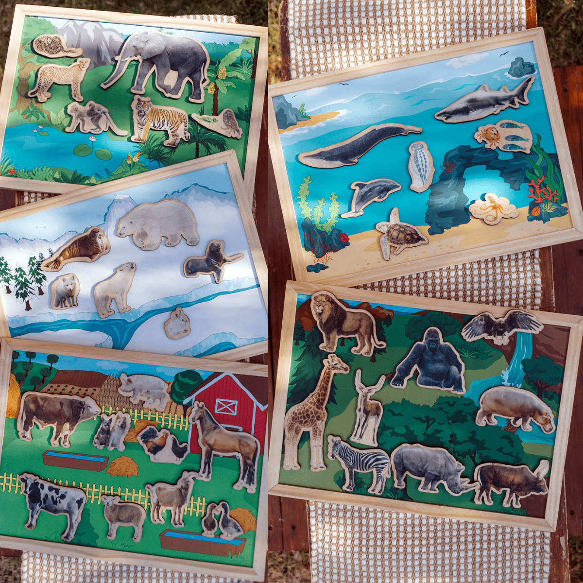 Wilde dieren en hun leefgebieden | 5 stuks - Afbeelding 2
