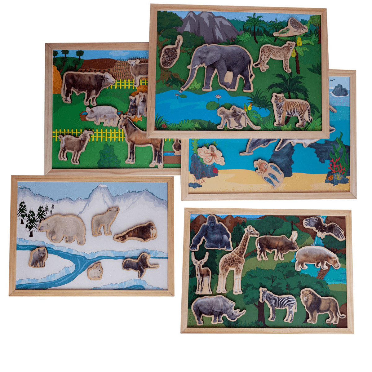 Wilde dieren en hun leefgebieden | 5 stuks
