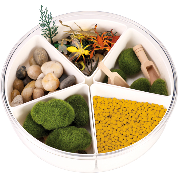 Sensorische box | Insecten