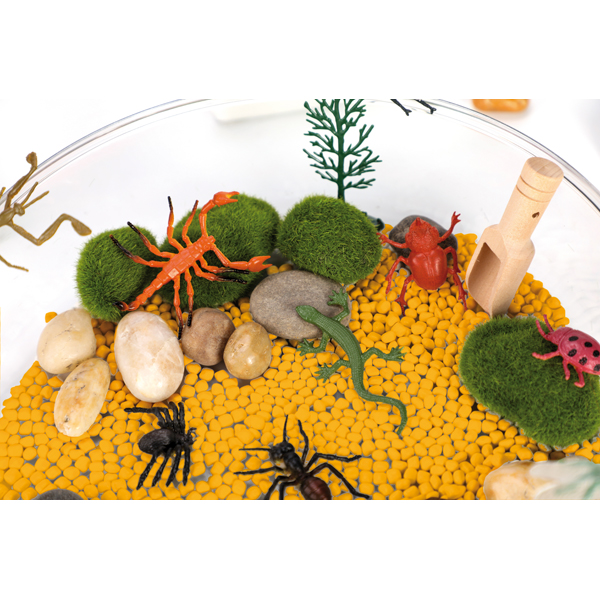 Sensorische box | Insecten - Afbeelding 2